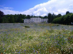 Coworth Park Ascot retreats near London