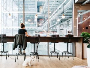 Dogs allowed within We Work office space for rent in London